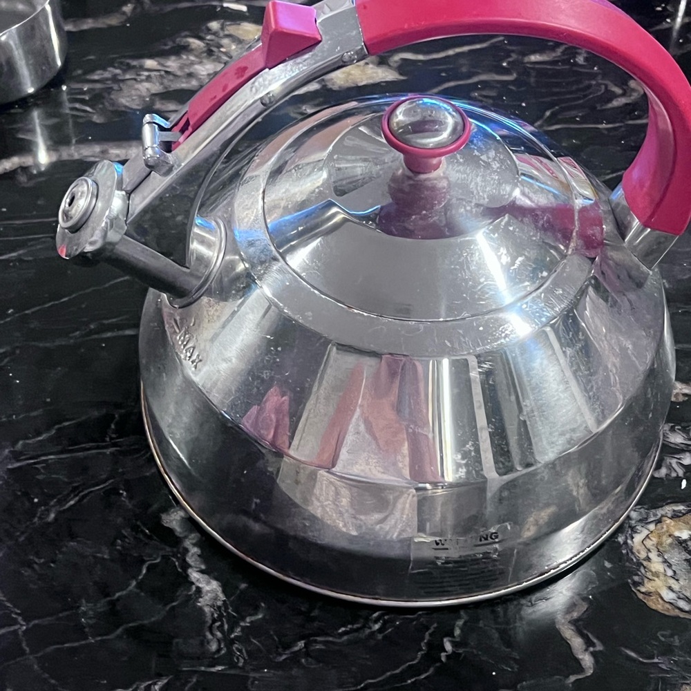 Stainless Steel Whistling Kettle with Red Silicone Handle